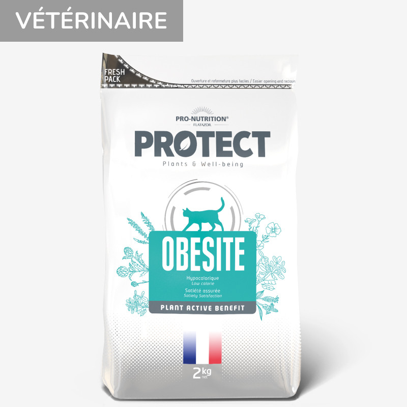 PROTECT CHAT  OBESITE | Croquettes vétérinaires pour chat ayant tendance à l'embonpoint 2kg Abonnement Toutes les 3 semaines  - Pro Nutrition - Flatazor