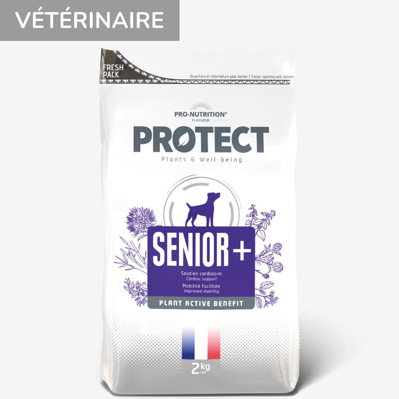 Protect Chien  Senior + | Croquettes Vétérinaires Pour Chien Senior 12kg Achat En Une Fois - Pro-nutrition Flatazor