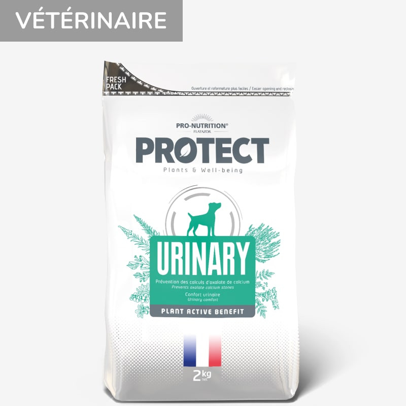 PROTECT CHIEN  URINARY | Croquettes vétérinaires pour chien ayant des problèmes urinaires 2kg Abonnement Toutes les 3 semaines  - Pro Nutrition - Flatazor