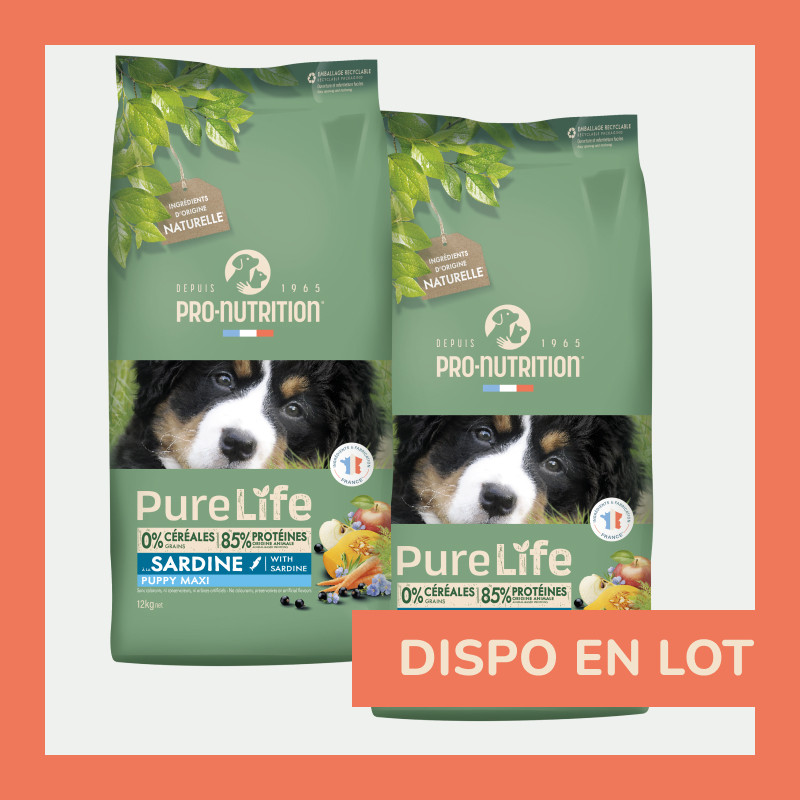 Pure Life Chien Puppy Maxi Sardine | Croquettes sans céréales pour chiot de grande taille - saveur sardine LOT - 2x12kg  - Pro Nutrition - Flatazor