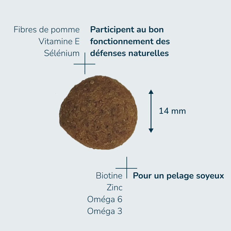 PRESTIGE CHIEN ADULT MEDIUM | Croquettes pour chien de taille moyenne 15kg  - Pro Nutrition - Flatazor