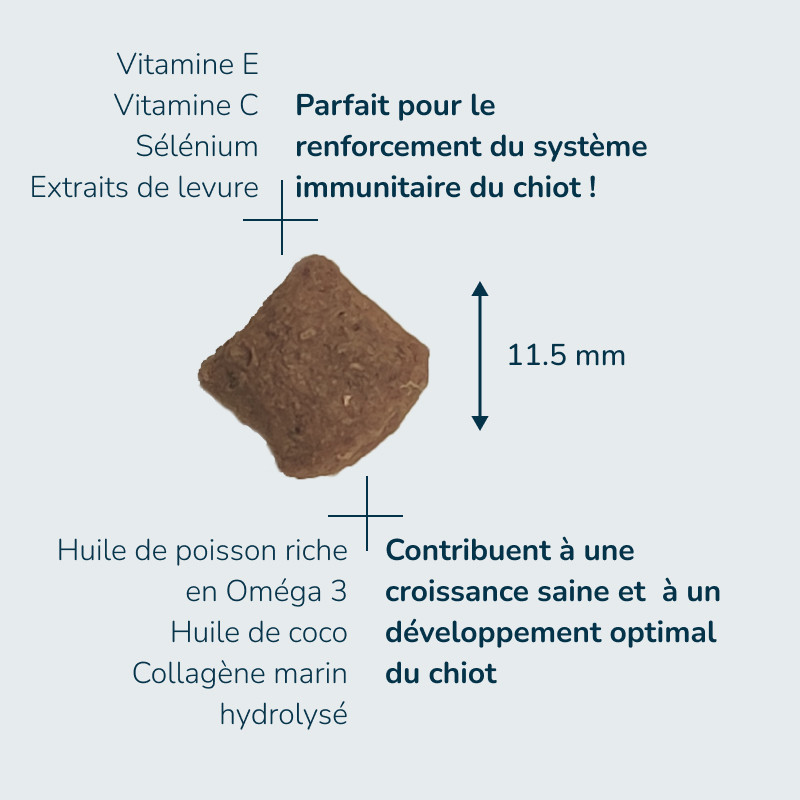 PRESTIGE CHIEN PUPPY MEDIUM | Croquettes pour chiot ou croquettes femelle en gestation LOT - 2x3kg  - Pro Nutrition - Flatazor