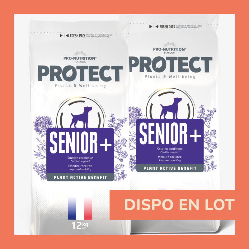 PROTECT CHIEN  SENIOR + | Croquettes vétérinaires pour chien senior LOT - 2x12kg  - Pro Nutrition - Flatazor