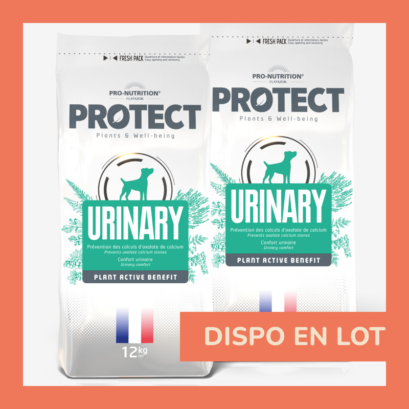 PROTECT CHIEN  URINARY | Croquettes vétérinaires pour chien ayant des problèmes urinaires LOT - 2x2kg  - Pro Nutrition - Flatazor