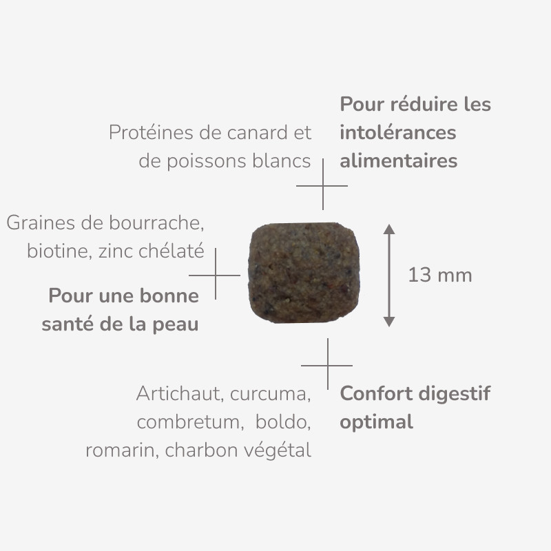 PROTECT CHIEN  DERMATO | Croquettes vétérinaires pour chien présentant des troubles cutanés  - Pro Nutrition - Flatazor