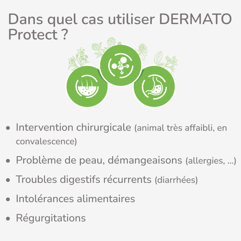 PROTECT CHIEN  DERMATO | Croquettes vétérinaires pour chien présentant des troubles cutanés  - Pro Nutrition - Flatazor