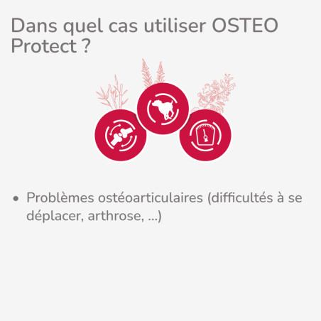  PROTECT CHIEN OSTEO - Croquettes pour chiens présentant des problèmes ostéoarticulaires - PACK DECOUVERTE 3x2KGPro-Nutrition Fl