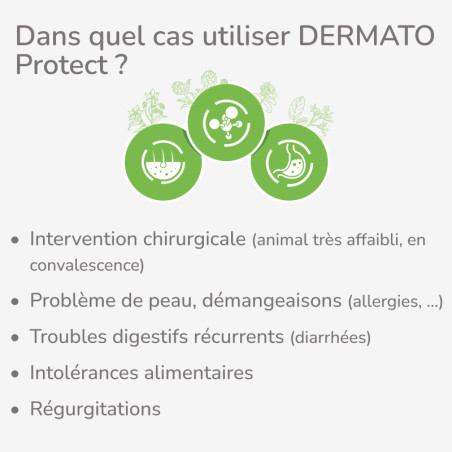  PROTECT CHIEN DERMATO - Croquettes hypoallergéniques pour chien présentant des troubles cutanés - PACK DECOUVERTE 3x2KGPro-Nutr