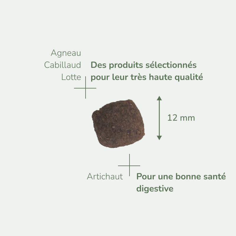 PURE LIFE CHIEN SENSIBLE AGNEAU | Croquettes sans céréales pour  chien sensible à l'agneau 11kg  - Pro Nutrition - Flatazor