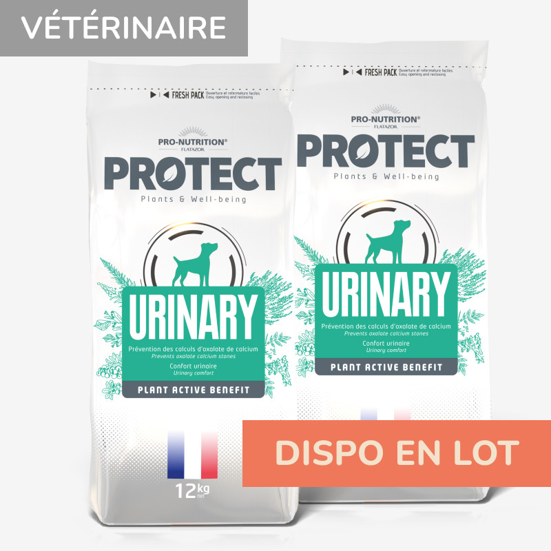 PROTECT CHIEN  URINARY | Croquettes vétérinaires pour chien ayant des problèmes urinaires - Pro Nutrition - Flatazor