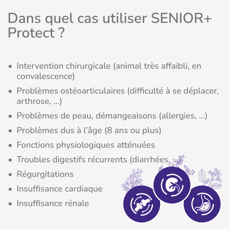 PROTECT CHIEN  SENIOR + | Croquettes vétérinaires pour chien senior  - Pro Nutrition - Flatazor