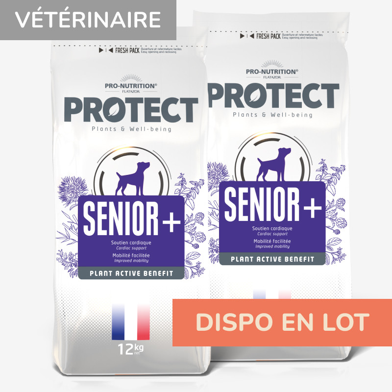 PROTECT CHIEN  SENIOR + | Croquettes vétérinaires pour chien senior  - Pro Nutrition - Flatazor