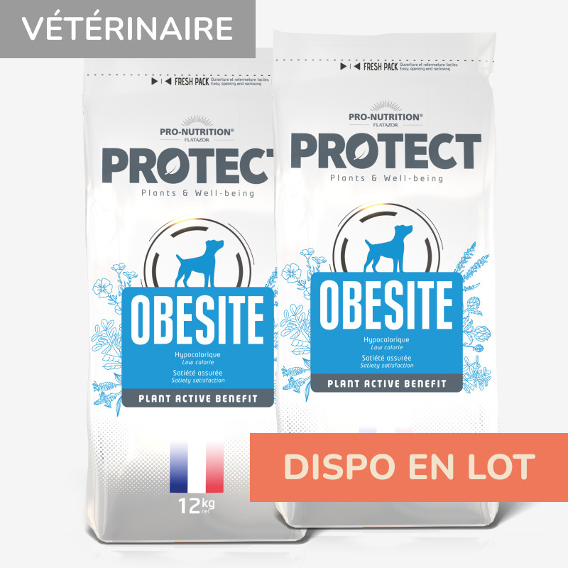 PROTECT CHIEN  OBESITE | Croquettes vétérinaires pour chien ayant tendance à l'embonpoint - Pro Nutrition - Flatazor