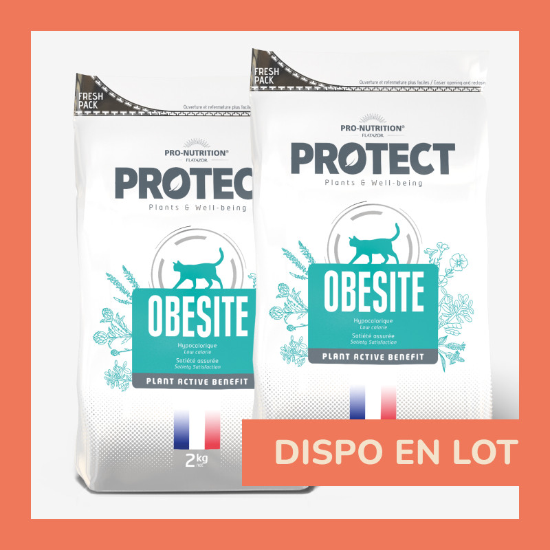 PROTECT CHAT  OBESITE | Croquettes vétérinaires pour chat ayant tendance à l'embonpoint LOT - 2x2kg  - Pro Nutrition - Flatazor