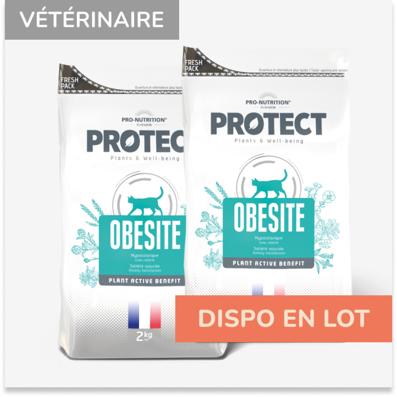 PROTECT CHAT  OBESITE | Croquettes vétérinaires pour chat ayant tendance à l'embonpoint - Pro Nutrition - Flatazor