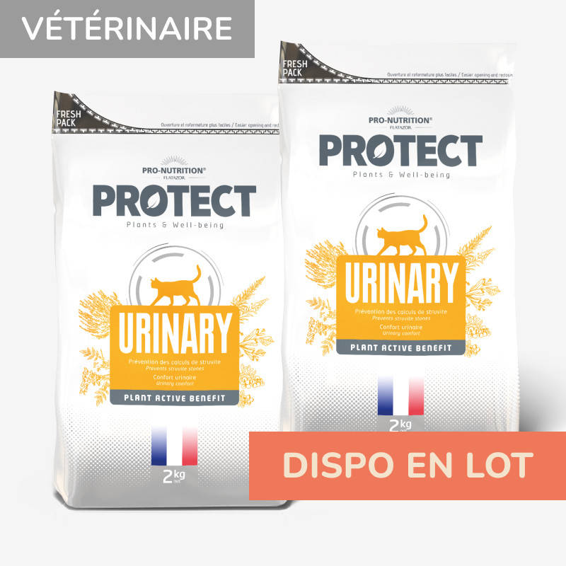 PROTECT CHAT  URINARY | Croquettes vétérinaires pour chat ayant des problèmes urinaires - Pro Nutrition - Flatazor