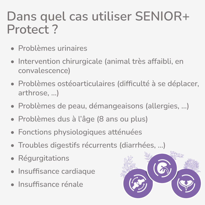 PROTECT CHAT  CARE 8+ | Croquettes vétérinaires pour chat senior - Pro Nutrition - Flatazor