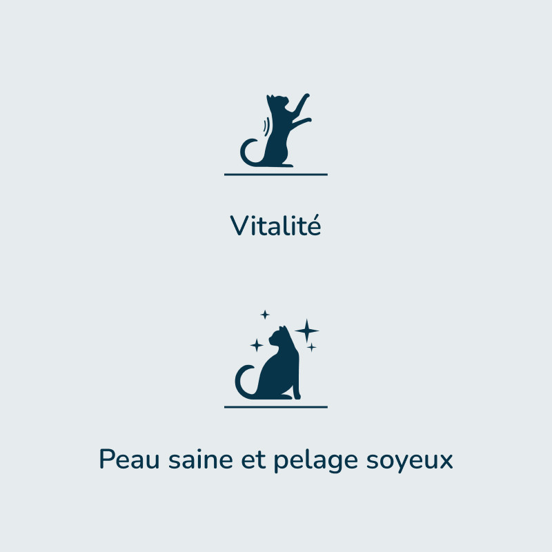 PRESTIGE CHAT ADULT A LA DINDE | Croquettes pour chat adulte à la dinde - Pro Nutrition - Flatazor