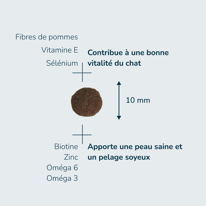 PRESTIGE CHAT ADULT A LA DINDE | Croquettes pour chat adulte à la dinde - Pro Nutrition - Flatazor