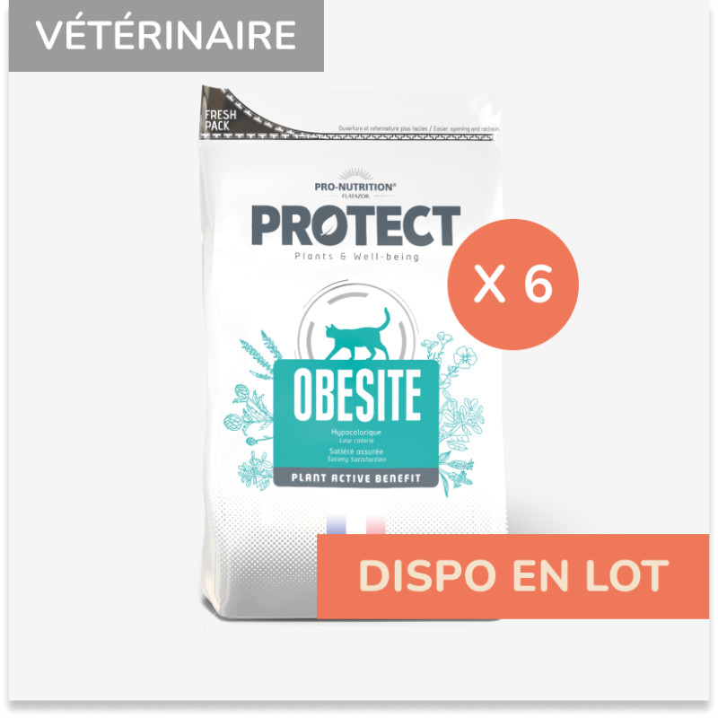 Protect Chat  Obesite | Croquettes Vétérinaires Pour Chat Ayant Tendance À L'embonpoint - Lot 6x2kg - Pro-nutrition Flatazor