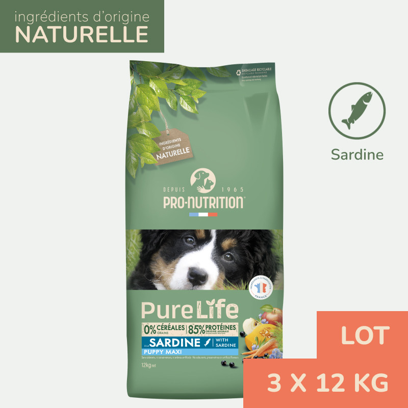 Pure Life  Chien Puppy Maxi Sardine | Croquettes Sans Céréales Pour  Chiot De Grande Taille À La Sardine - Lot 3x12kg - Pro-nutrition Flatazor