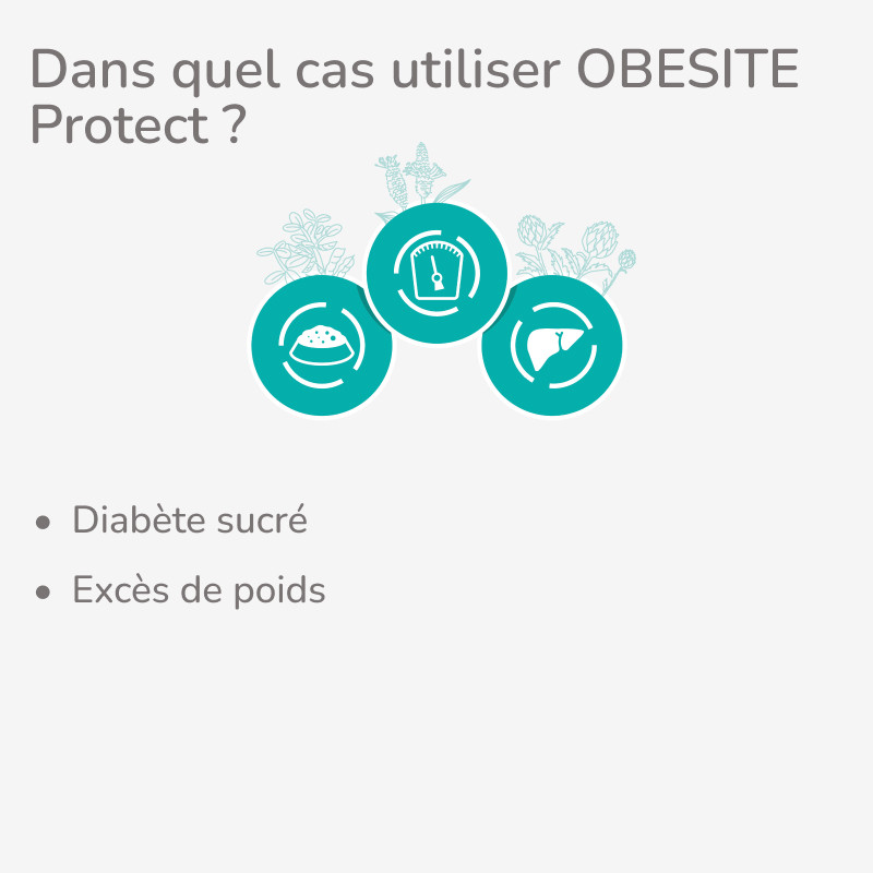 PROTECT CHAT  OBESITE | Croquettes vétérinaires pour chat ayant tendance à l'embonpoint - Pro Nutrition - Flatazor