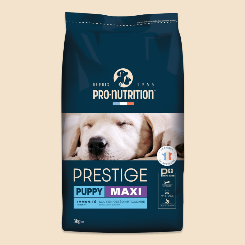  Prestige Puppy Maxi 1