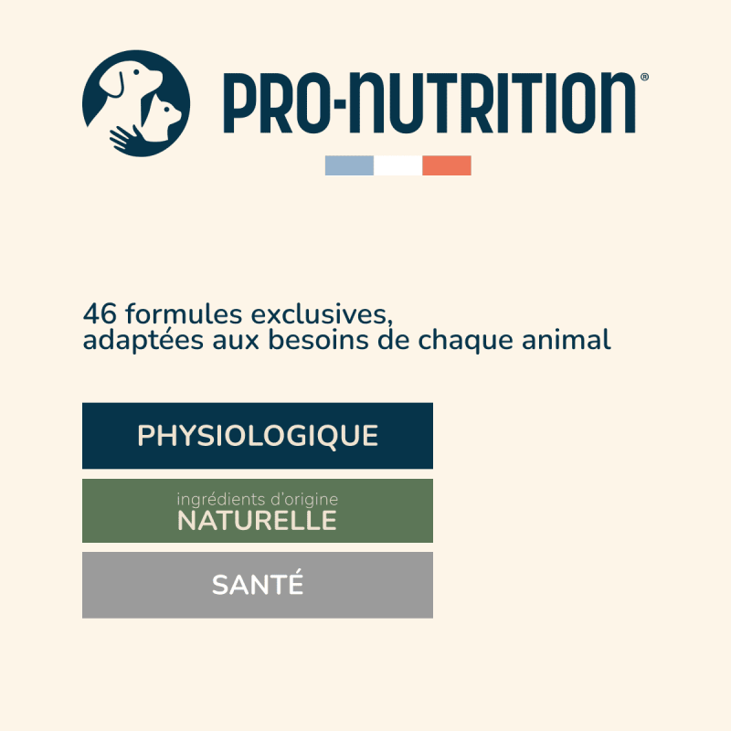  Puppy Mini | Chiot de petite taillePro-Nutrition Flatazor 2