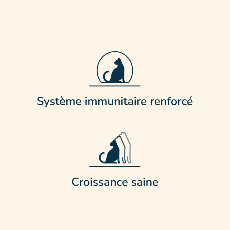  Kitten - Saveur Poissons | Chaton ou chatte en fin de gestation et en lactationPro-Nutrition Flatazor 2