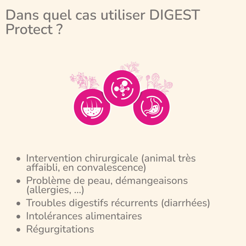  Digest | Chat présentant des problèmes digestifsPro-Nutrition Flatazor 3