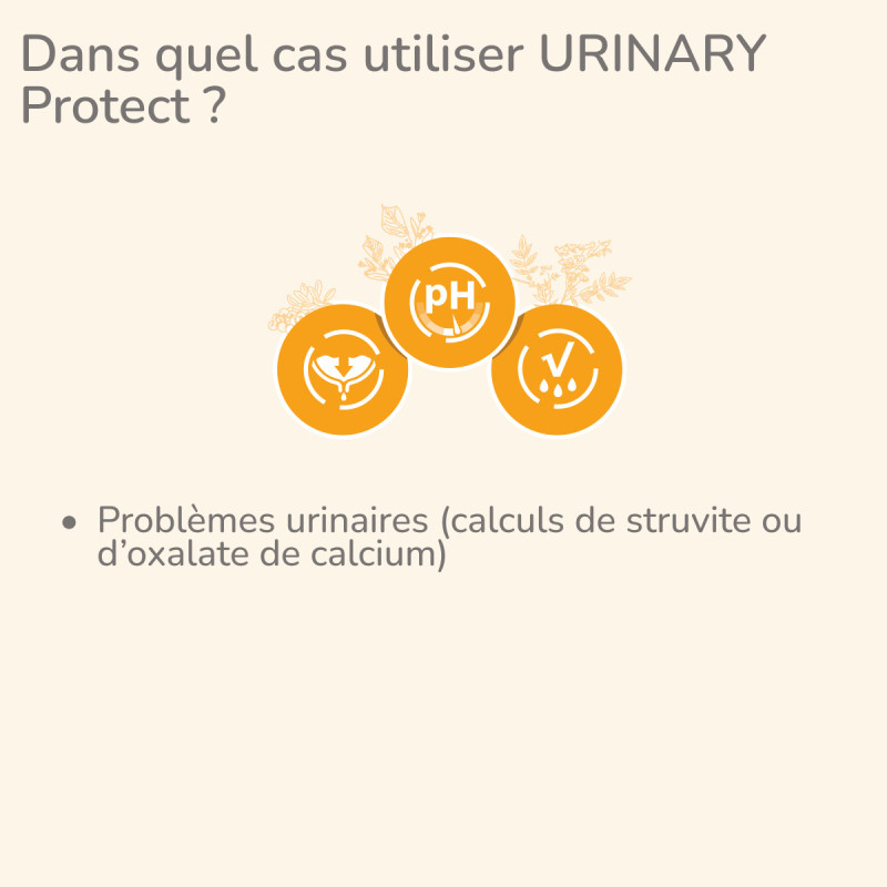  Urinary | Chat ayant des problèmes urinairesPro-Nutrition Flatazor 2