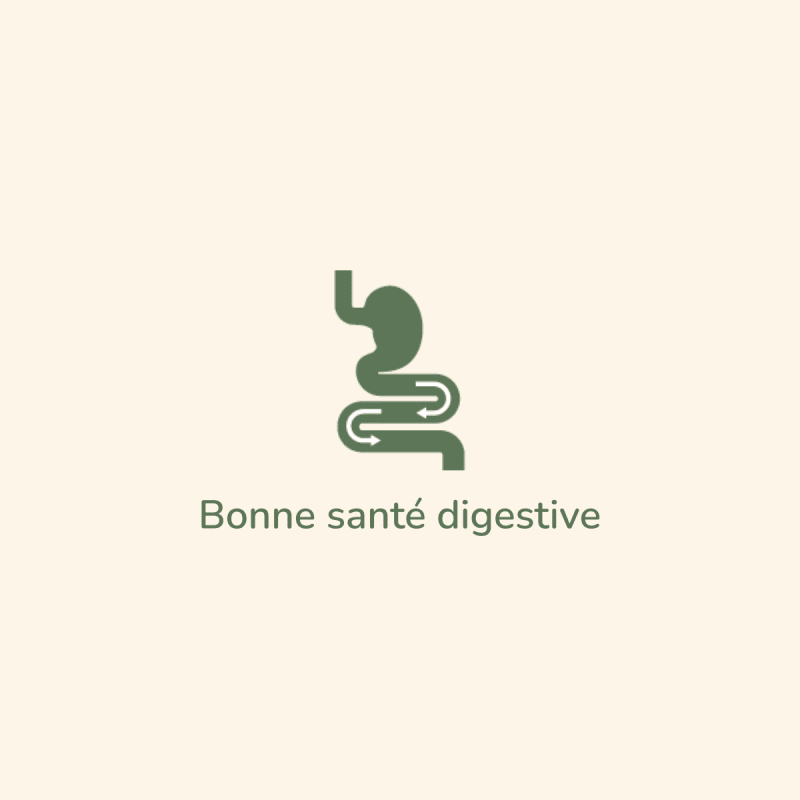  Digestion Sensible - Saveur Agneau | Chien adulte de toute taille ayant une digestion sensiblePro-Nutrition Flatazor 3