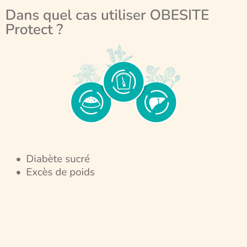  Obesité | Chat en surpoids ou obèsePro-Nutrition Flatazor 3