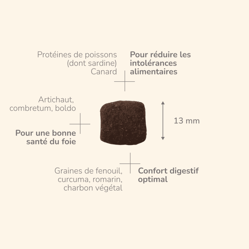  Digest | Chien ayant des troubles gastro-intestinauxPro-Nutrition Flatazor 2