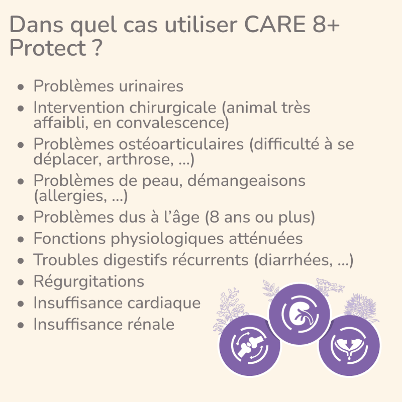  Care 8+ | Chat adulte ou âgé avec troubles de la fonction rénale, ostéo-articulaires ou cardiaquesPro-Nutrition Flatazor 2