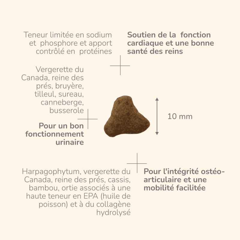  Care 8+ | Chat adulte ou âgé avec troubles de la fonction rénale, ostéo-articulaires ou cardiaquesPro-Nutrition Flatazor 4