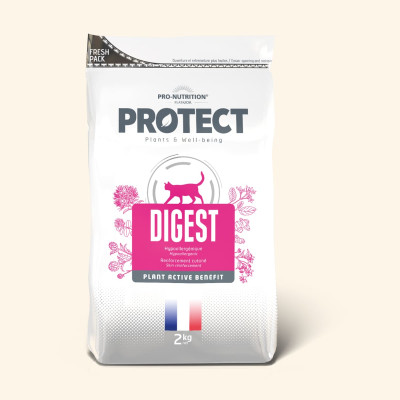 Digest | Chat présentant des problèmes digestifs