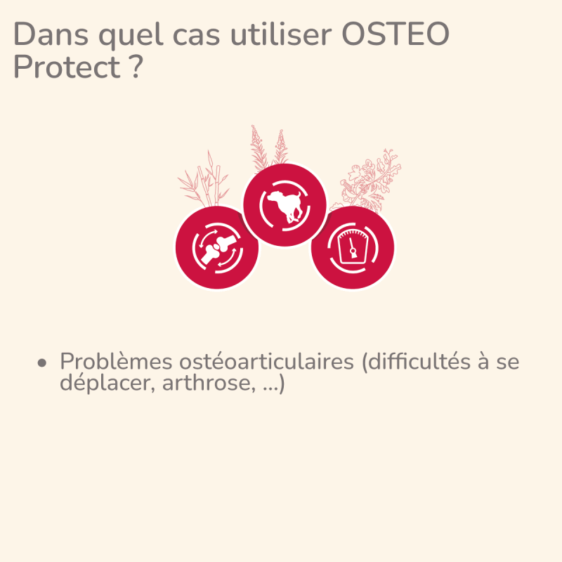  Osteo | Chien ayant des problèmes ostéoarticulairesPro-Nutrition Flatazor 2