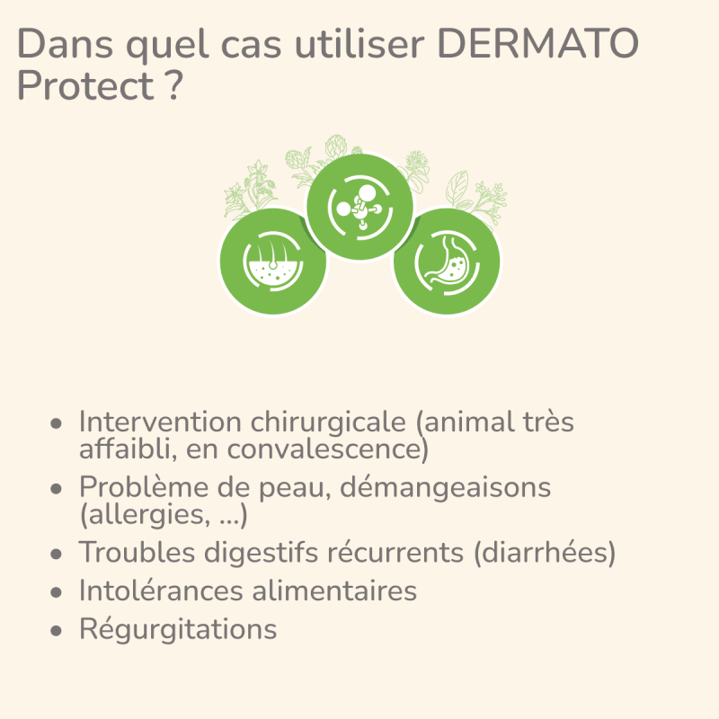  Dermato | Chien ayant des troubles cutanésPro-Nutrition Flatazor 2