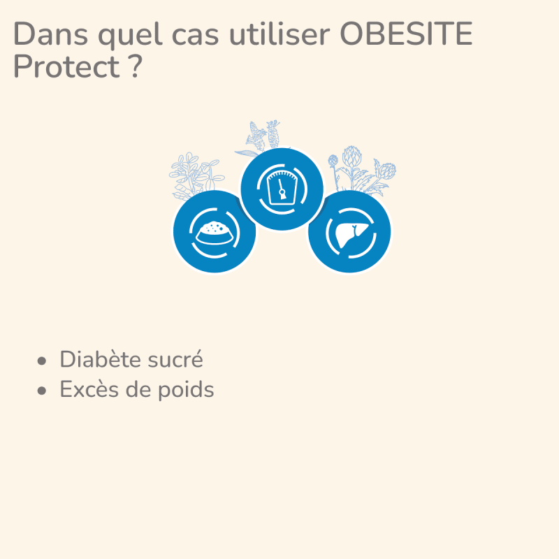  Obesité | Chien en surpoids ou obèsePro-Nutrition Flatazor 2