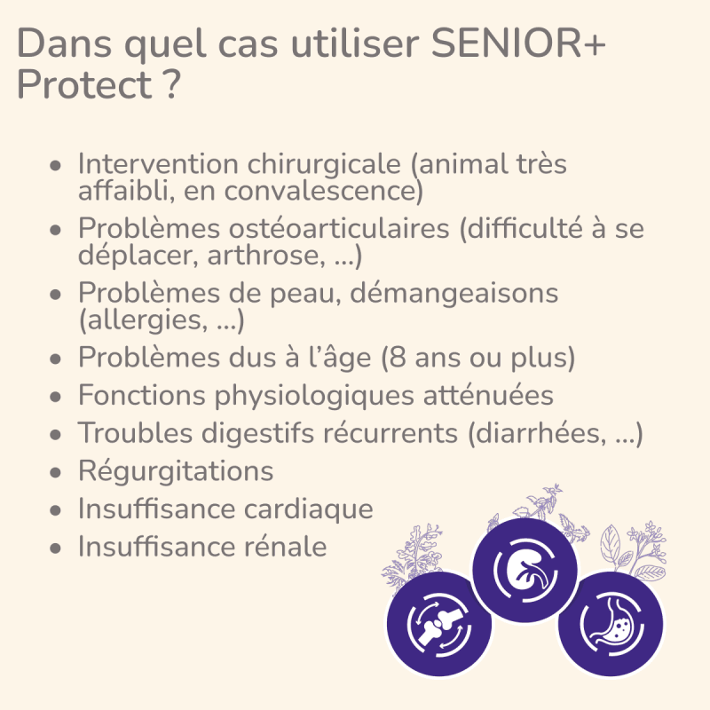  Senior+ | Chien adulte ou âgé avec troubles de la fonction rénale, ostéoarticulaires ou cardiaquesPro-Nutrition Flatazor 2