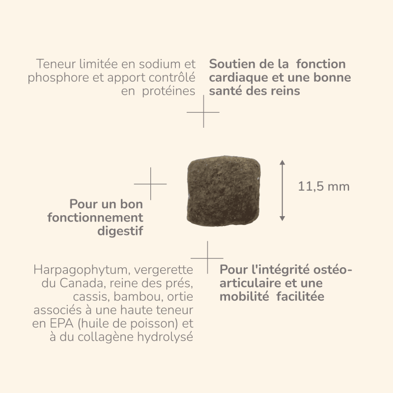  Senior+ | Chien adulte ou âgé avec troubles de la fonction rénale, ostéoarticulaires ou cardiaquesPro-Nutrition Flatazor 4