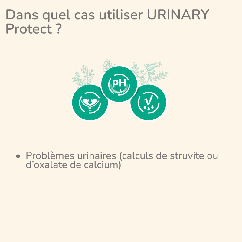  Urinary | Chien ayant des problèmes urinairesPro-Nutrition Flatazor 2