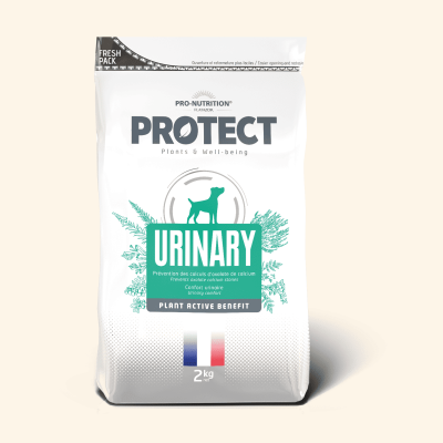 Urinary | Chien ayant des problèmes urinaires