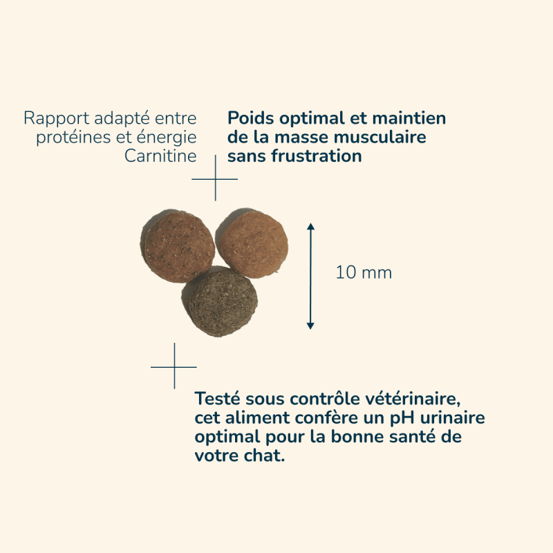  Adult Sterilised -  Saveur Poulet | Chat adulte stérilisé et/ou ayant tendance à l'embonpointPro-Nutrition Flatazor 3