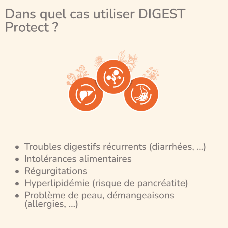  Digest | Chien ayant des troubles gastro-intestinauxPro-Nutrition Flatazor 3