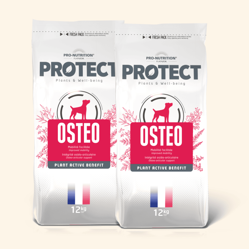 PROTECT CHIEN  OSTEO | Croquettes vétérinaires pour chien ayant des problèmes ostéo  - Pro Nutrition - Flatazor