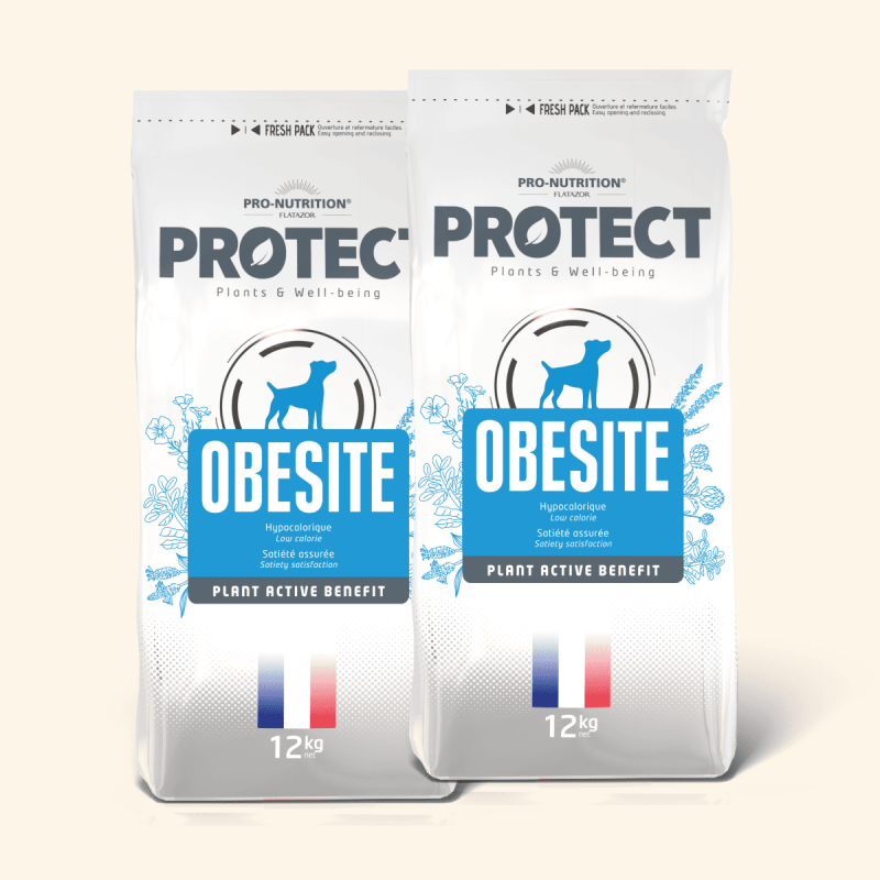  Obesité | Chien en surpoids ou obèsePro-Nutrition Flatazor 1