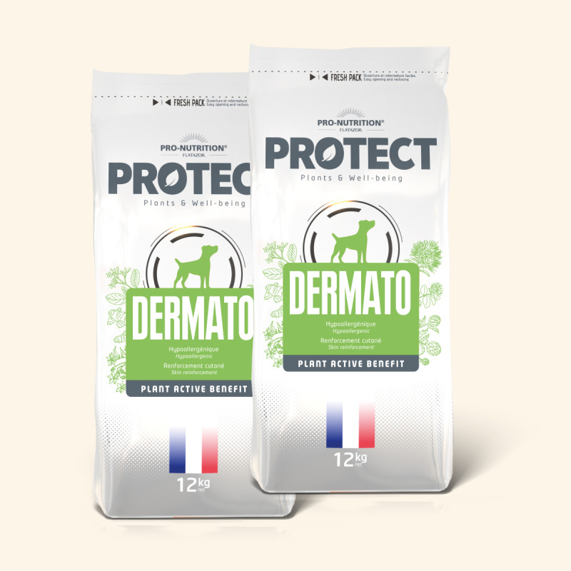  Dermato | Chien ayant des troubles cutanésPro-Nutrition Flatazor 1