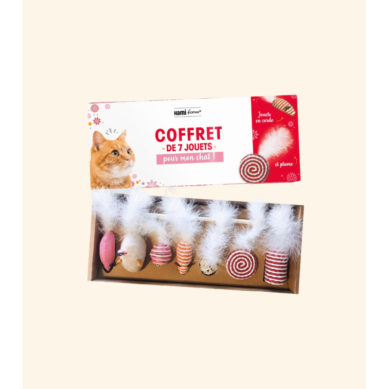  Coffret de jouets pour chat 1